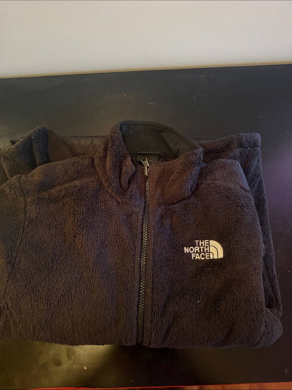 The North Face Black Plush Full-Zip Jacket